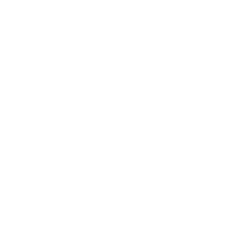 Logo do Hospital Israelita Albert Einstein